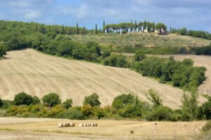 Agriturismo nel sud Italia: prezzi, pro e contro per una famiglia di 4