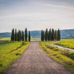 Panorama della campagna toscana con colline verdi e cipressi al tramonto.