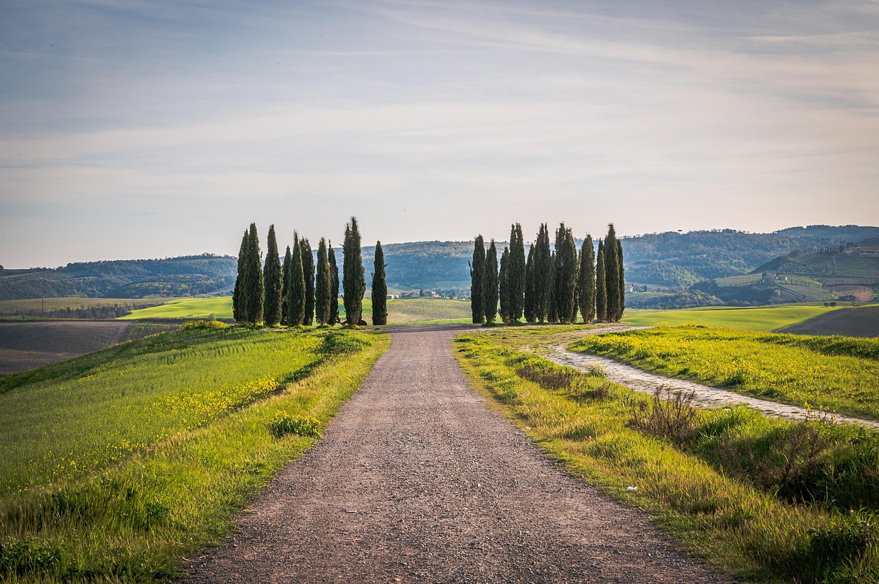 Panorama della campagna toscana con colline verdi e cipressi al tramonto.