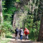 Escursionista su un sentiero panoramico, immerso nella natura italiana, simbolo del turismo lento.